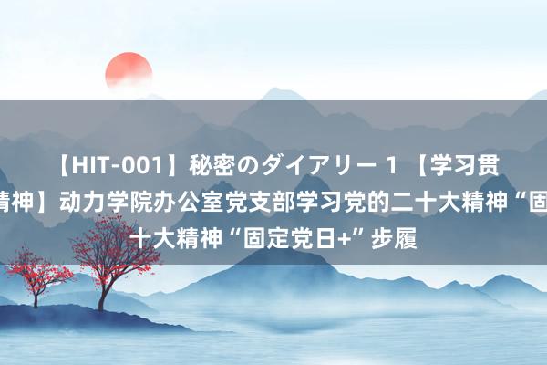 【HIT-001】秘密のダイアリー 1 【学习贯彻党的二十大精神】动力学院办公室党支部学习党的二十大精神“固定党日+”步履