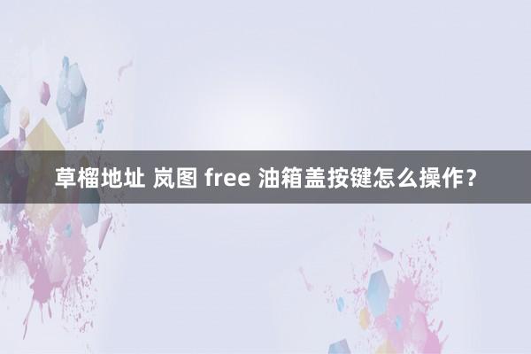 草榴地址 岚图 free 油箱盖按键怎么操作？