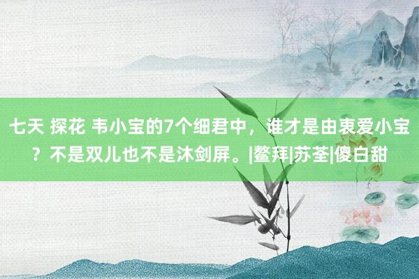 七天 探花 韦小宝的7个细君中，谁才是由衷爱小宝？不是双儿也不是沐剑屏。|鳌拜|苏荃|傻白甜