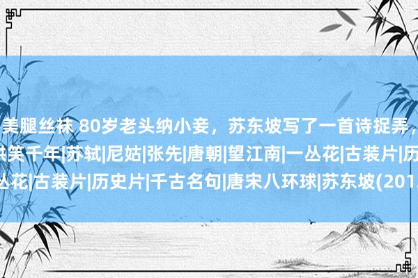 美腿丝袜 80岁老头纳小妾，苏东坡写了一首诗捉弄，没料到被后东说念主哄笑千年|苏轼|尼姑|张先|唐朝|望江南|一丛花|古装片|历史片|千古名句|唐宋八环球|苏东坡(2012年电视剧)