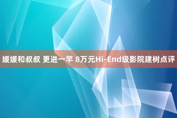 媛媛和叔叔 更进一竿 8万元Hi-End级影院建树点评