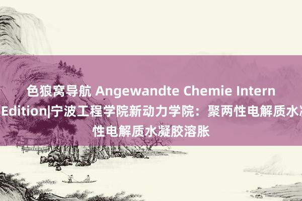 色狼窝导航 Angewandte Chemie International Edition|宁波工程学院新动力学院：聚两性电解质水凝胶溶胀