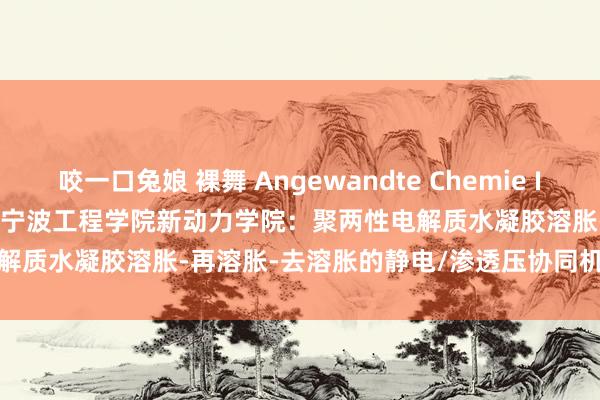 咬一口兔娘 裸舞 Angewandte Chemie International Edition|宁波工程学院新动力学院：聚两性电解质水凝胶溶胀-再溶胀-去溶胀的静电/渗透压协同机制，终点智商化变形