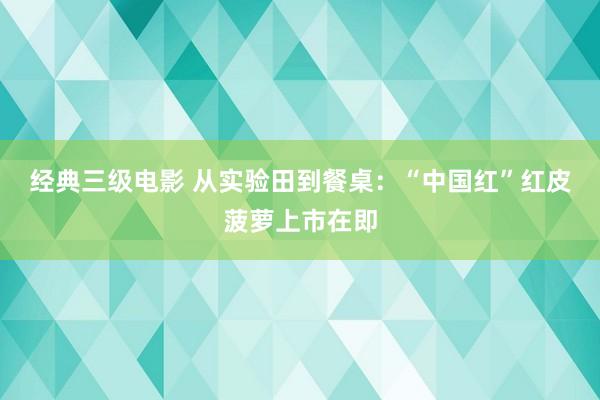 经典三级电影 从实验田到餐桌：“中国红”红皮菠萝上市在即