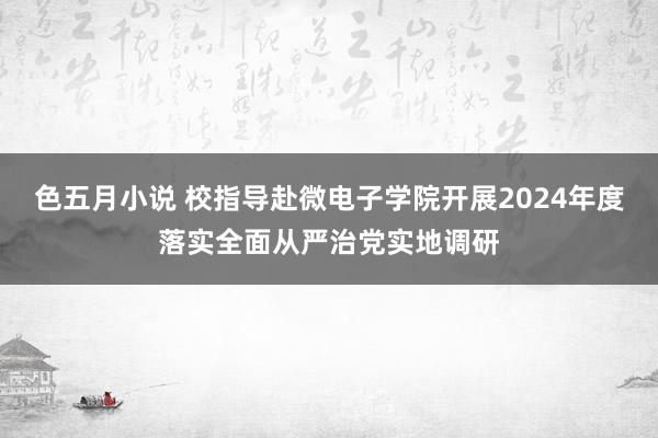 色五月小说 校指导赴微电子学院开展2024年度落实全面从严治党实地调研