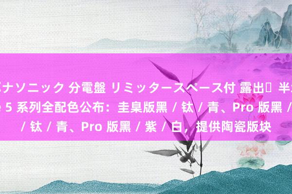 パナソニック 分電盤 リミッタースペース付 露出・半埋込両用形 一加 Ace 5 系列全配色公布：圭臬版黑 / 钛 / 青、Pro 版黑 / 紫 / 白，提供陶瓷版块